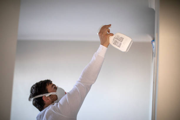 Best Mold Testing  in Rock Hill, NY