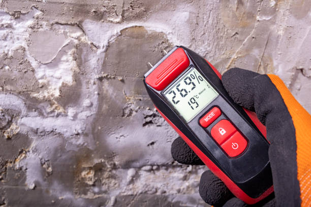 Best Toxic Mold Removal  in Rock Hill, NY