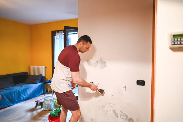 Best Office Mold Removal Services  in Rock Hill, NY
